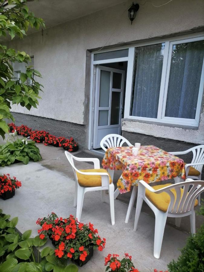 Pavicevic Lägenhet Soko Banja Exteriör bild