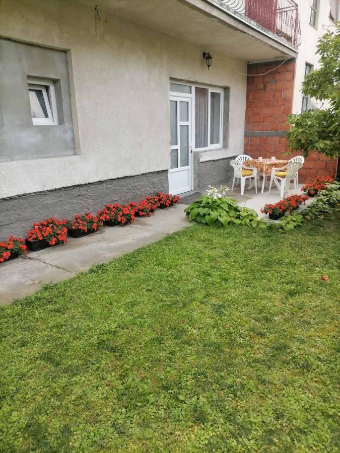 Pavicevic Lägenhet Soko Banja Exteriör bild